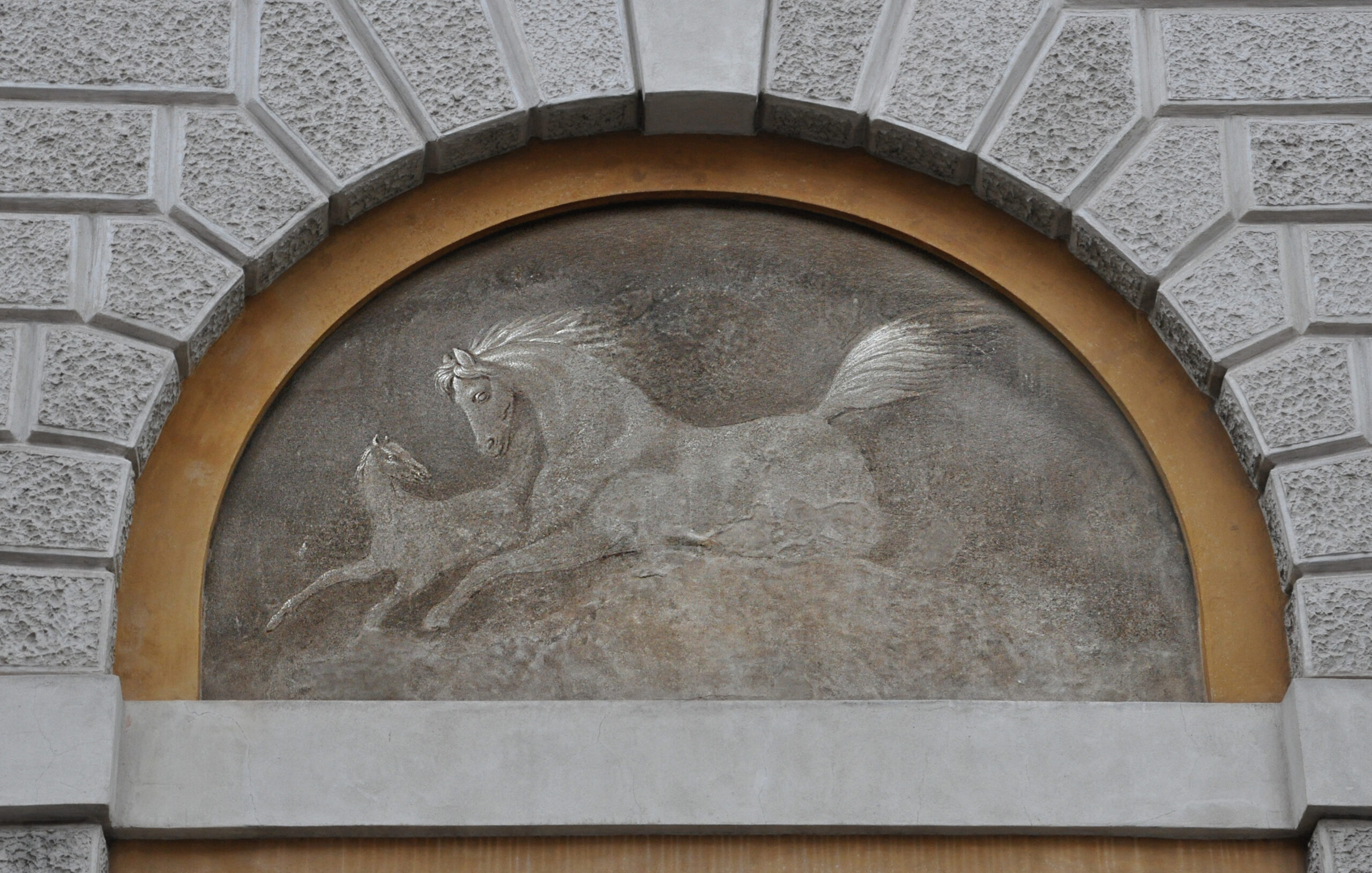 TROTTA TROTTA CAVALLINO